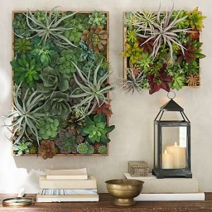 Succulent Panels